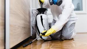 Best Indoor Pest Control  in Amelia, LA